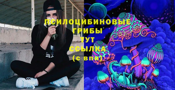 PSILOCYBIN Осинники