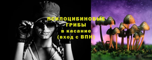 PSILOCYBIN Осинники