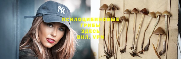 PSILOCYBIN Осинники