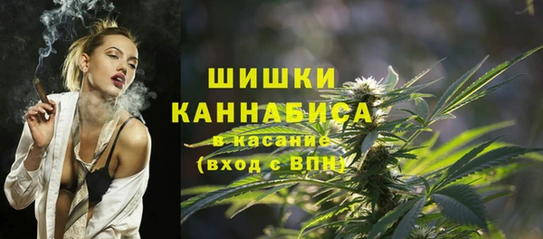 PSILOCYBIN Осинники