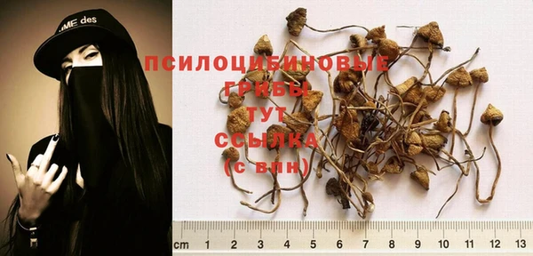 прущая мука Кулебаки