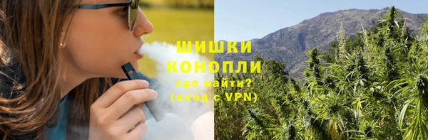 PSILOCYBIN Осинники