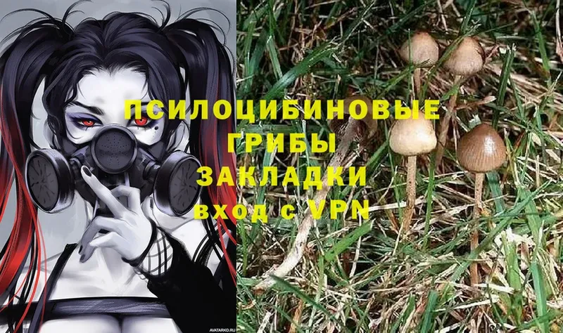 Псилоцибиновые грибы мицелий  магазин    Реутов 