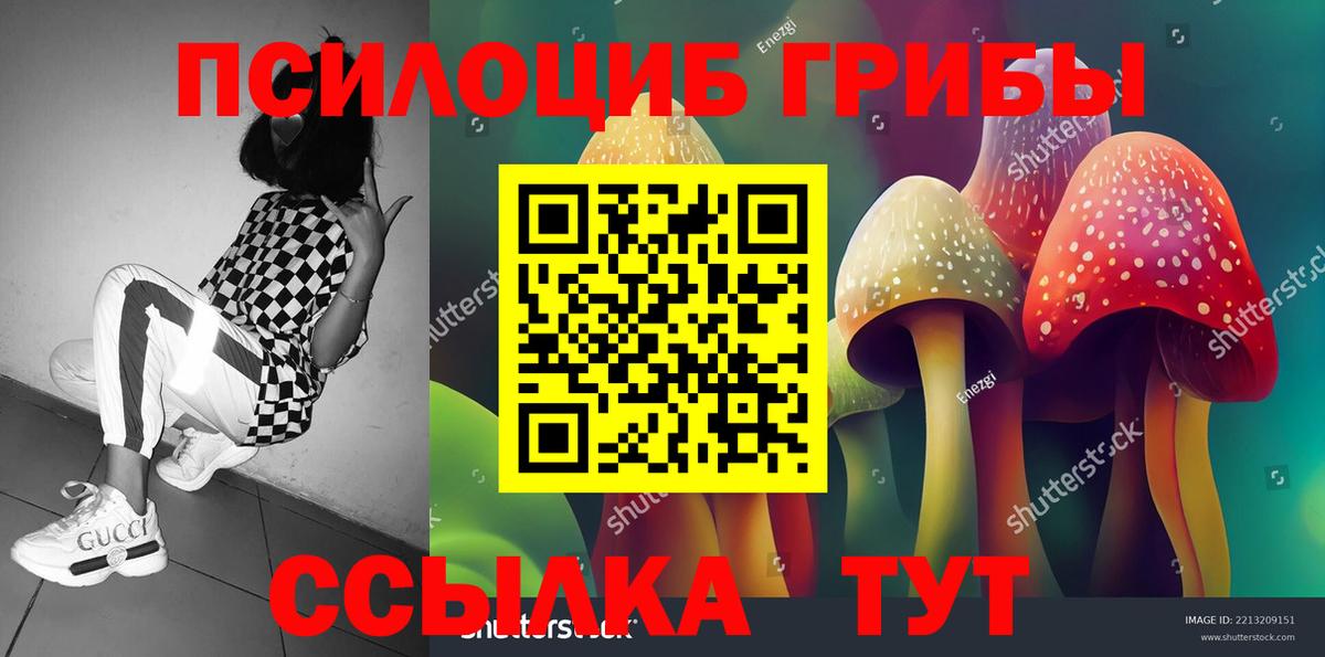 Галлюциногенные грибы Psilocybe  Псилоцибиновые грибы ЛСД  Вход с VPN  Реутов 