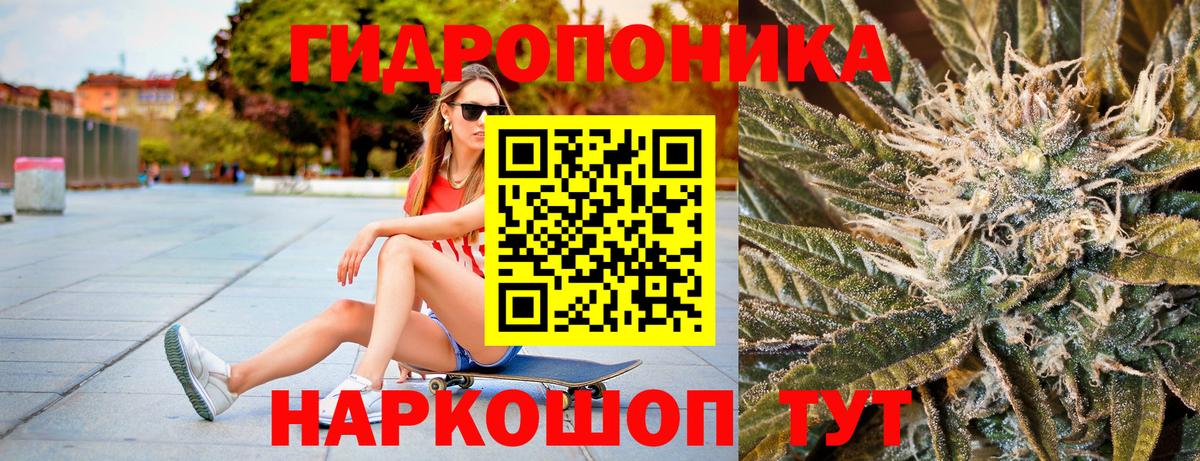 Конопля White Widow  Реутов  Каннабис VHQ  МАРИХУАНА план 